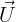 U